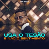 Usa o Tesão e Não o Sentimento - Single - MC Cyclone & THEUZ ZL