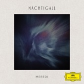 Nachtigall (Piano Version) artwork