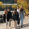 Hamsterrad - Single