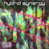 Hybrid Synergy - Single