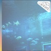 Helmet Helmet Helmet - Single