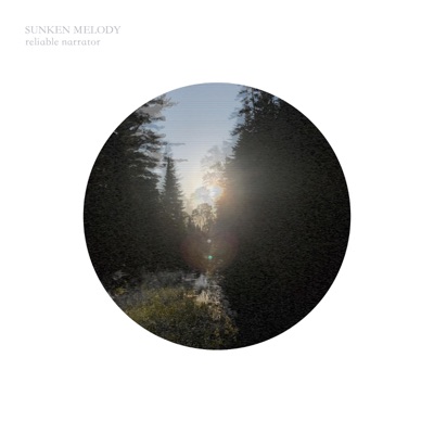 Reliable Narrator - Single