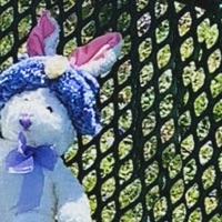 Been It - Single - swazy* & riptony