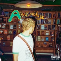 Assemblage - Rosario