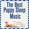 The Best Puppy Sleep Music : Sound Therapy Engineered for Your Dog