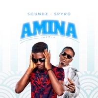 Amina (Remix) - Single - Soundz & Spyro