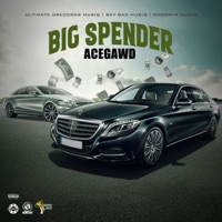 Big Spender - Single - AceGawd