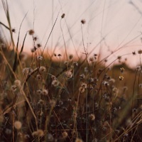 Cinnamon - Single - Carter Coffee