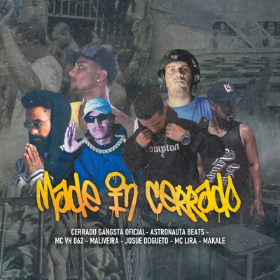 Made In Cerrado - Single