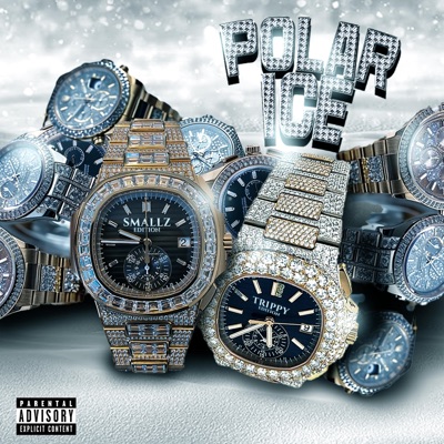 POLAR ICE (feat. Trippy Moe) - Single