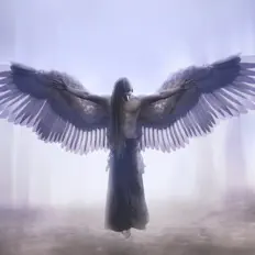 Listen to Pepe Herrero, watch music videos, read bio, see tour dates & more!