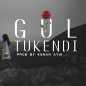 Gül Tükendi (feat. Kıvırcık Ali) artwork