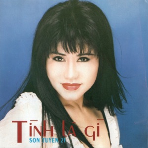 Tình Là Gì