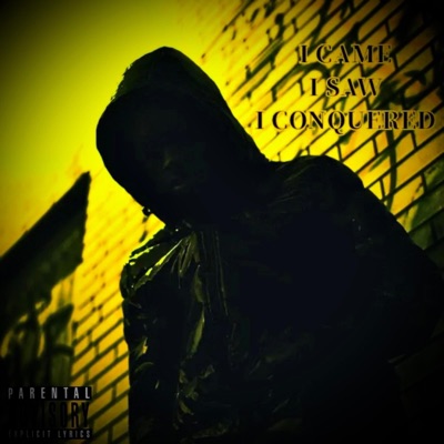 I Came I Saw I Conquered