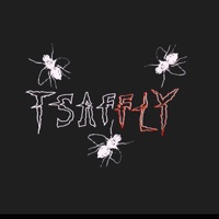 She's an Illness (feat. Tsaffire) [Hxvsfly Remix] - Single - Hxvsfly