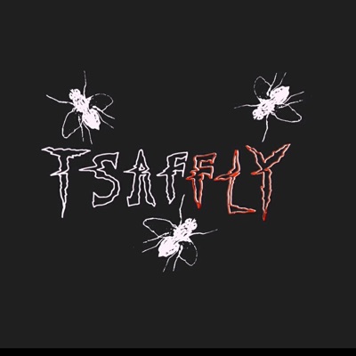 She's an Illness (feat. Tsaffire) [Hxvsfly Remix] - Single