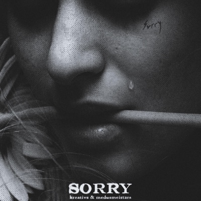SORRY (feat. Medusmeistars) - Single