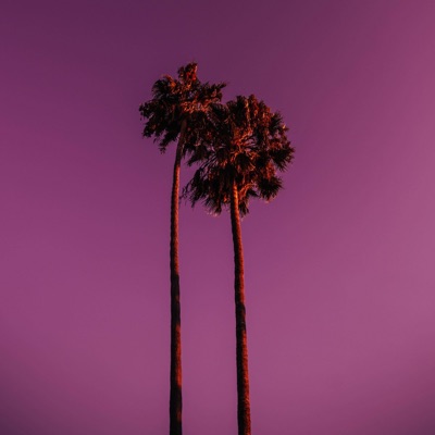 With Time (BS) (feat. Danilu) - Single