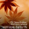 Autumn Leaves (Blue Hour Rmx) - Single