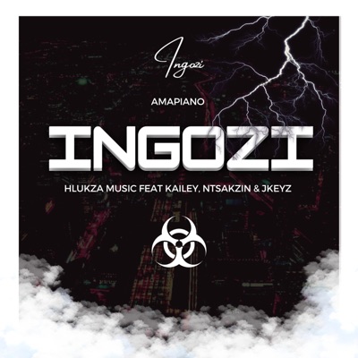 Ingozi (feat. Kailey, Ntsakzin & Jkeyz) - Single