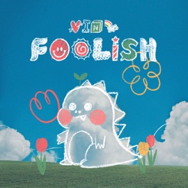 Foolish (feat. Taeb2) VIN