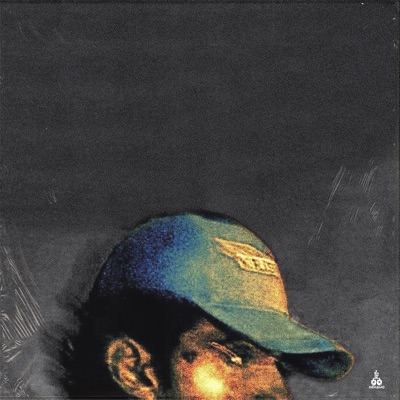 Vli Weezy - Gemini