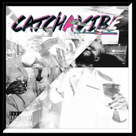 Catch a Vibe (Extended) Kd
