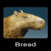 cash flow (feat. Prod. Riddiman) - Single - Bradley Herring