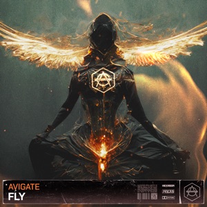 Fly - Single