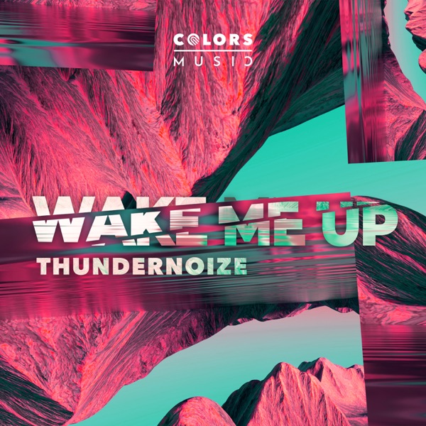 Wake Me Up - Single