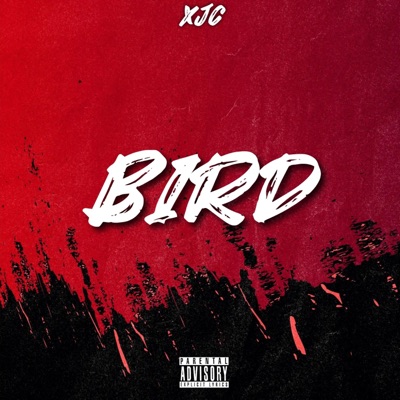 Bird - Single