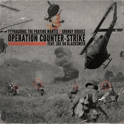 Operation COUNTER-STRIKE - Single