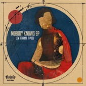 Nobody Knows (feat. Rufus!) [The Oddness Remix] artwork