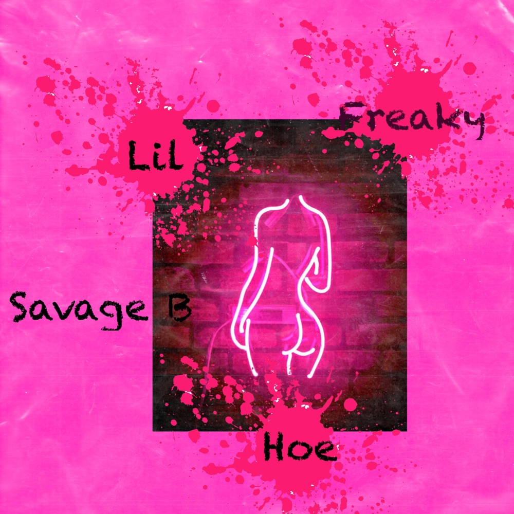Обложка альбома «Lil Freaky Hoe - Single» — Savage B