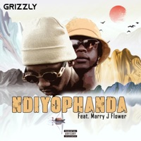 Ndiyophanda (feat. Marry J Flower) - Single - Grizzly SA