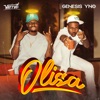 Olisa (feat. Verroti) - Single