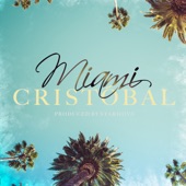 Miami artwork