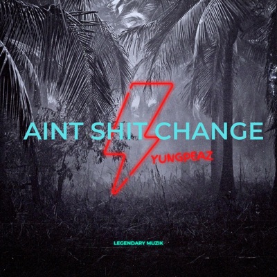 Aint Shit Change - Single