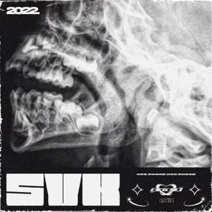 SYK - Single