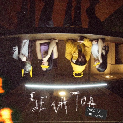 Se Va Toa (feat. Huguet) - Single