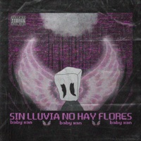 Sin Lluvia No hay Flores (Mixtape) - Baby Xan