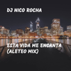 Esta Vida Me Encanta (Aleteo Mix) - DJ Nico Rocha