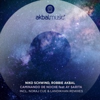 Caminando de Noche Remixes (feat. Ay Sarita) - Single - Niko Schwind & Robbie Akbal