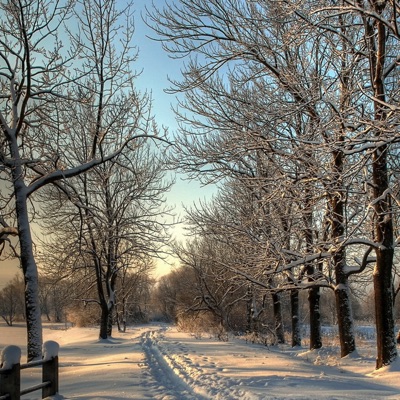 小丫丫 - 文爱0.8X (钢琴曲)