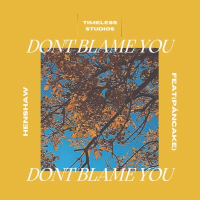 Dont Blame You (feat. Pâncake) - Single