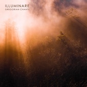 Illuminare: Gregorian Chants artwork