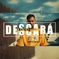 Descará (feat. Harry Bass) - Single - Don Pereira