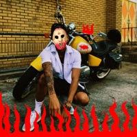 Saki on a Suzuki - Single - 14 Golds