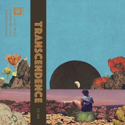 Transcendence (feat. earfluvv)