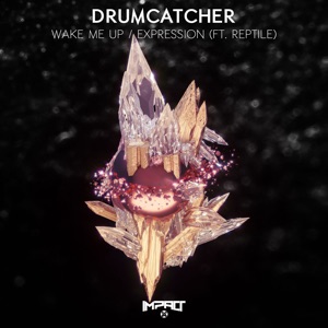 Wake Me up / Expression (feat. Reptile) - Single